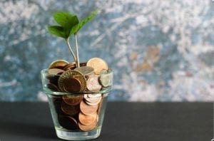 Thankyou 84 grow money